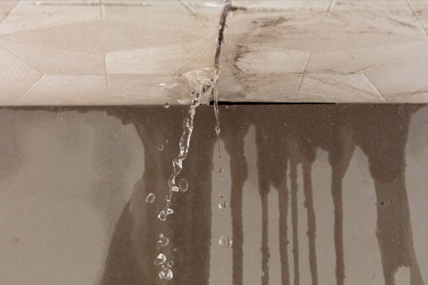Professional Water Damage Repair technician working in Caryville, TN